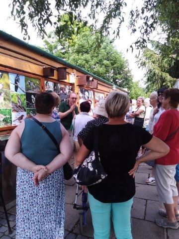 https://www.slavkov.cz/wp-content/uploads/2019/07/seniori-papousci-zoo-4.jpg