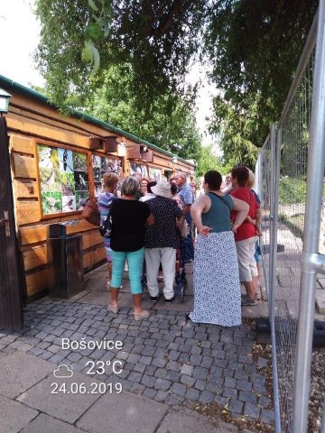 https://www.slavkov.cz/wp-content/uploads/2019/07/seniori-papousci-zoo-5.jpg