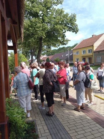 https://www.slavkov.cz/wp-content/uploads/2019/07/seniori-papousci-zoo-8.jpg