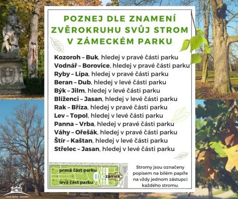https://www.slavkov.cz/wp-content/uploads/2020/04/stromy-v-parku.jpg